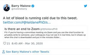35 Quarantine Conference Calls Gone Hilariously Wrong