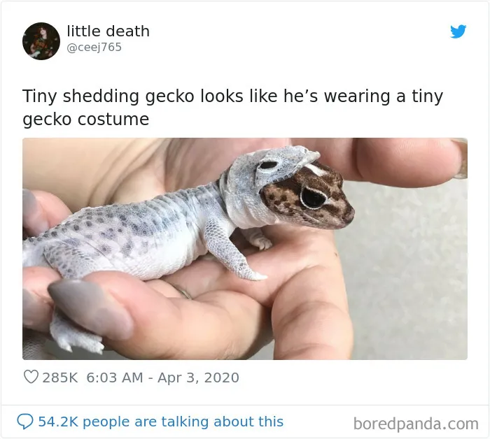 30 Of The Best Tweets From Women During The COVID-19 Pandemic