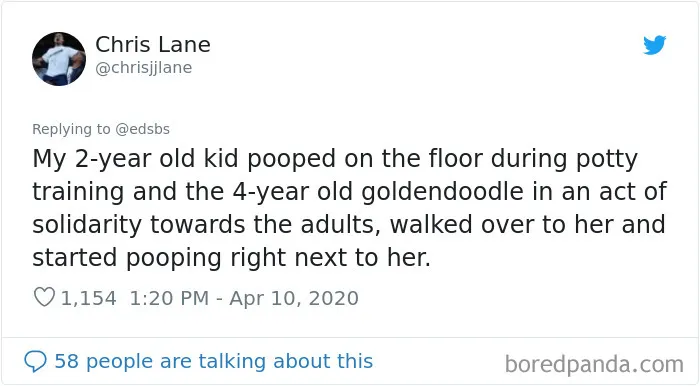 People Are Sharing Stories About The Dumbest Dogs They've Ever Known In This Viral Thread (40 Pics)