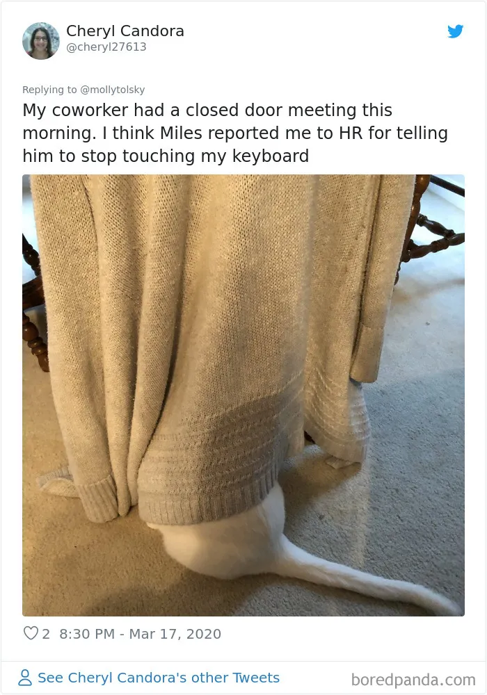 Someone Suggests That Couples Working From Home Should Blame Things On Fake "Coworkers", Gets 30 Funny Replies