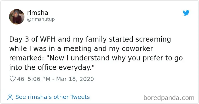 35 Quarantine Conference Calls Gone Hilariously Wrong