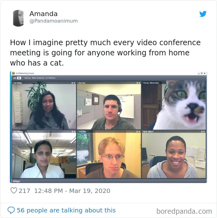 35 Best Posts About The Everyday Realities Of Zoom Meetings