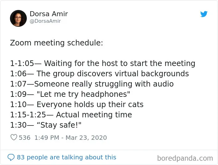 35 Best Posts About The Everyday Realities Of Zoom Meetings