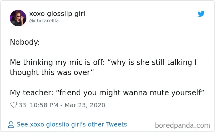 35 Quarantine Conference Calls Gone Hilariously Wrong