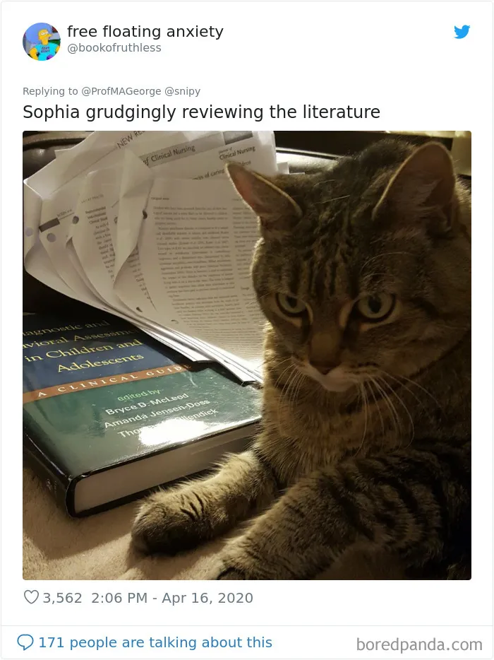 Professor Asks Her Students To Show Their Dogs Doing Classwork, 30 People Send Her Their Photos