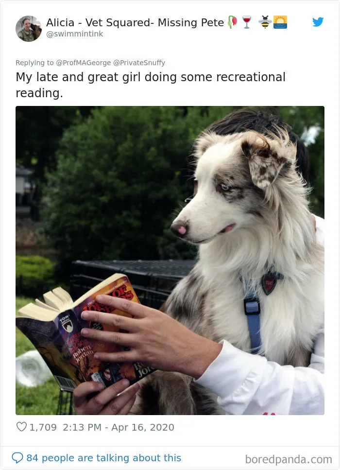 Professor Asks Her Students To Show Their Dogs Doing Classwork, 30 People Send Her Their Photos