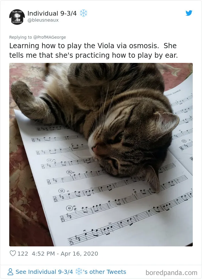 Professor Asks Her Students To Show Their Dogs Doing Classwork, 30 People Send Her Their Photos