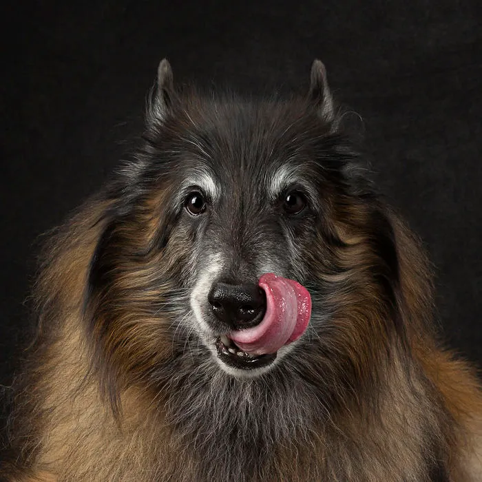 Loki