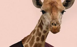 You Must See The Fun Animal Portrait Works Of Photographer Murat Arık !