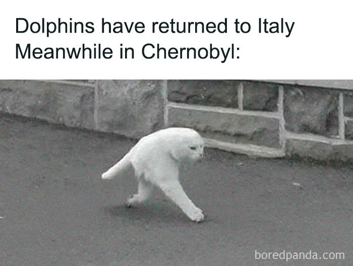 Coronavirus Jokes Are Everywhere And Here Are 40 Of The Best Ones This Week