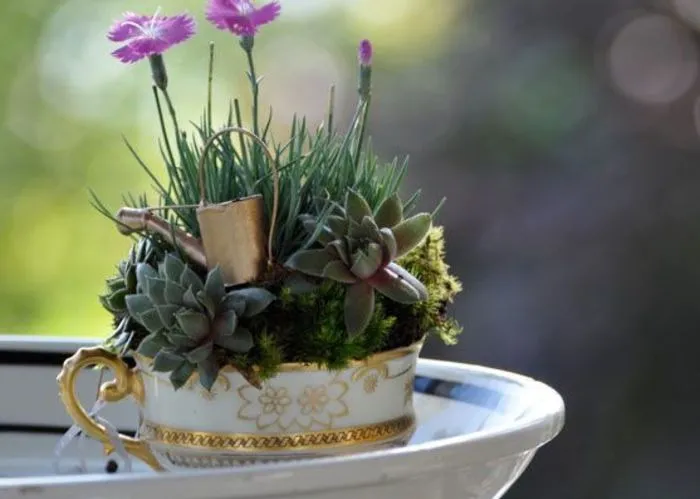 Parece que los minijardines en tazas de té están de moda, y aquí tienes 23 adorables ejemplos