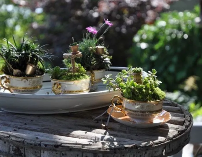 Parece que los minijardines en tazas de té están de moda, y aquí tienes 23 adorables ejemplos