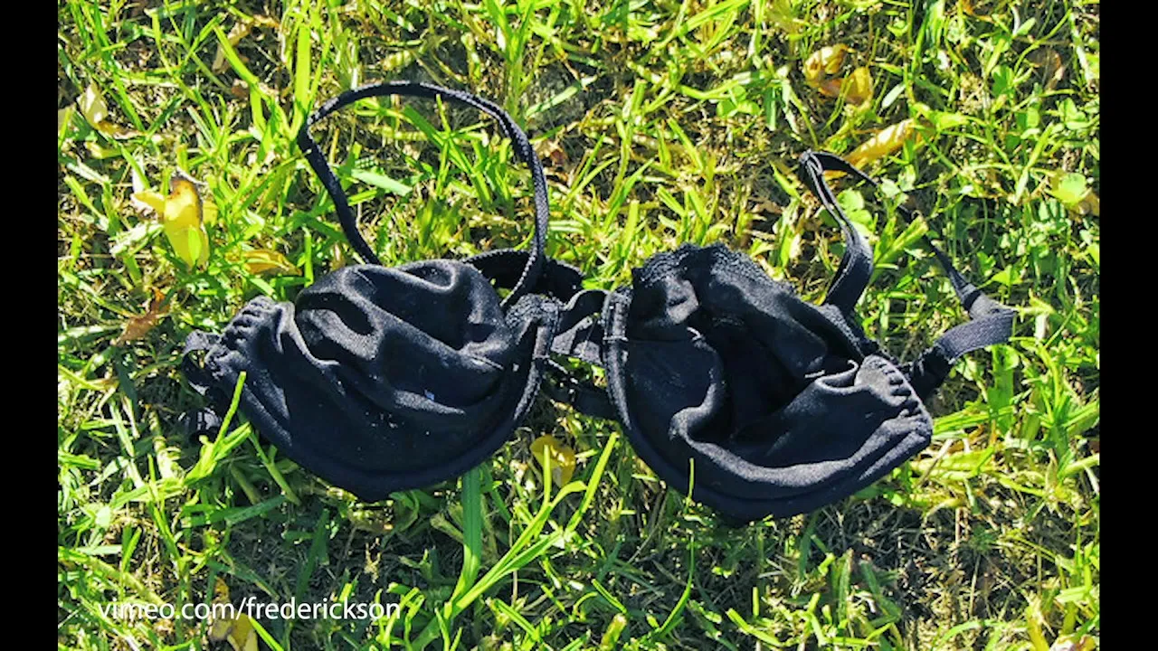 Working From Home, Ladies? Spare A Thought For The World's Sad, Neglected Bra Population.