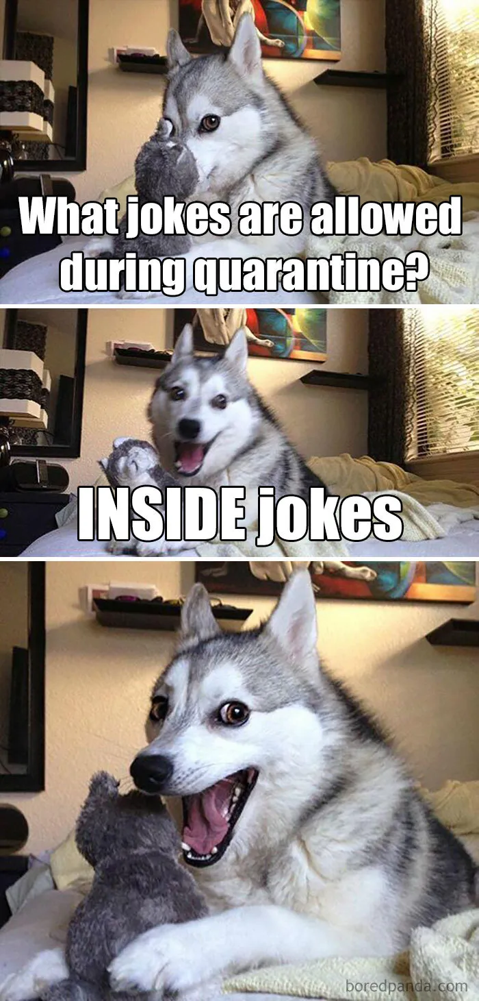 Coronavirus Jokes Are Everywhere And Here Are 40 Of The Best Ones This Week