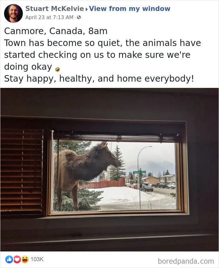Insanely Popular Online Group Has People Sharing Their 'View From My Window' And Here Are The 40 Best Submissions