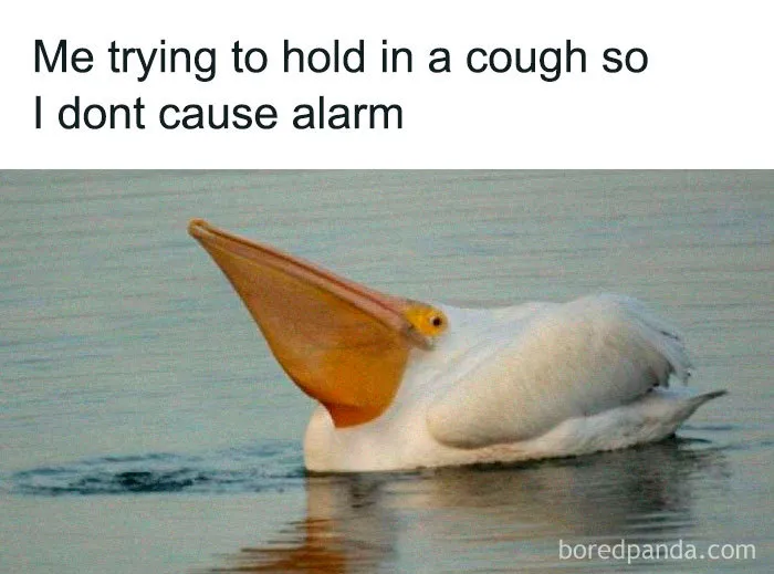 Coronavirus Jokes Are Everywhere And Here Are 40 Of The Best Ones This Week