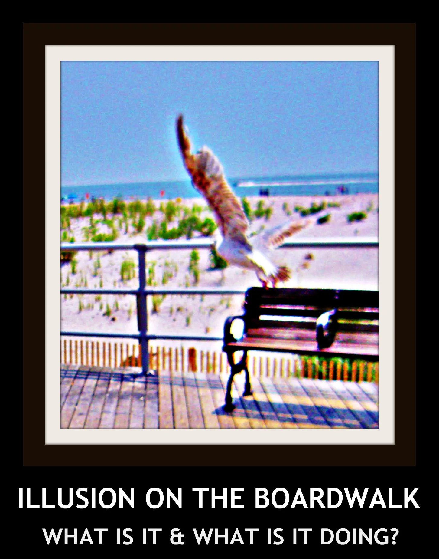 Illusion On The Boardwalk
