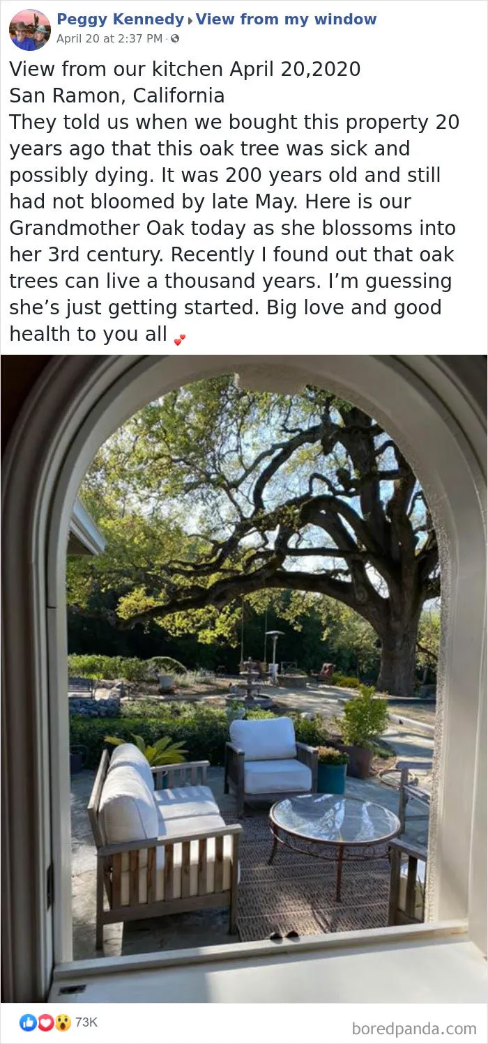 Insanely Popular Online Group Has People Sharing Their 'View From My Window' And Here Are The 40 Best Submissions
