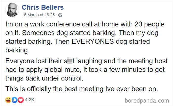 Coronavirus Jokes Are Everywhere And Here Are 40 Of The Best Ones This Week