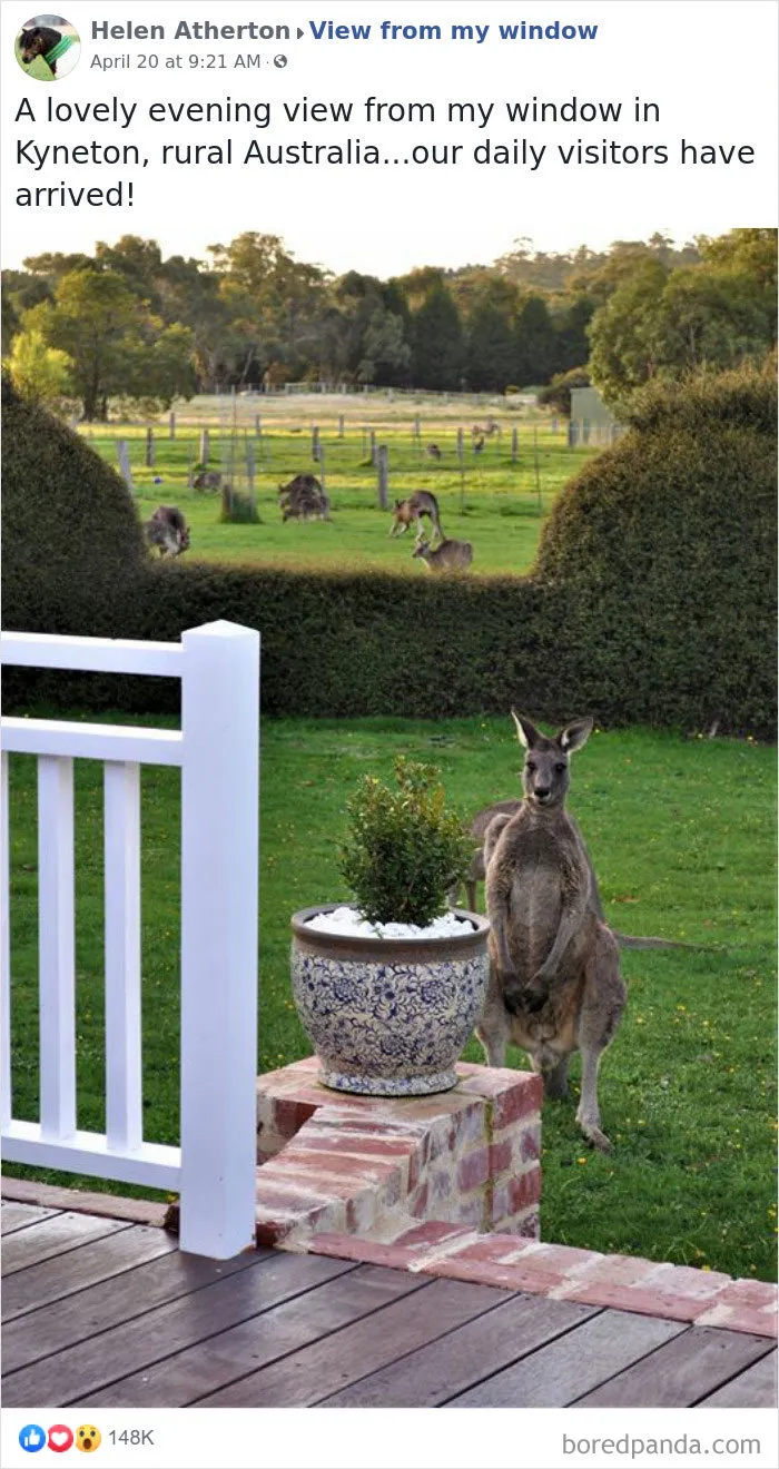 Insanely Popular Online Group Has People Sharing Their 'View From My Window' And Here Are The 40 Best Submissions
