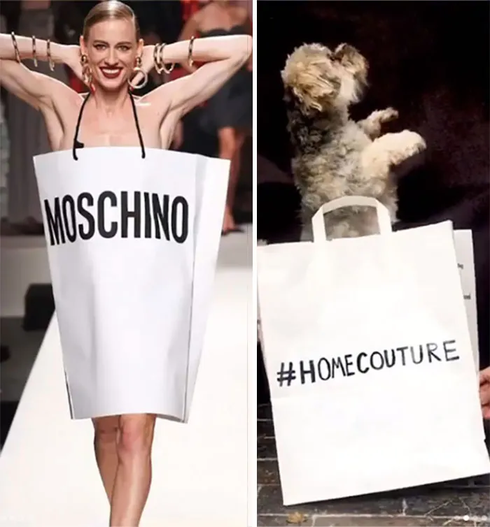 People Are Recreating "High Fashion" Looks From Household Items Out Of Quarantine Boredom (30 Pics)