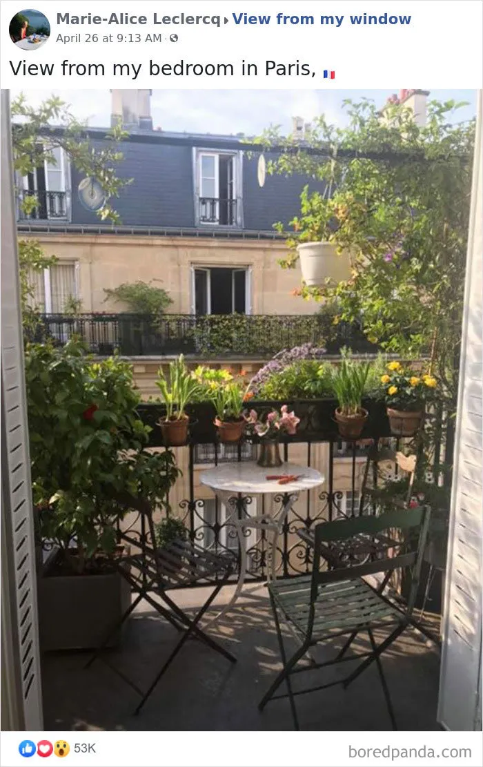 Insanely Popular Online Group Has People Sharing Their 'View From My Window' And Here Are The 40 Best Submissions