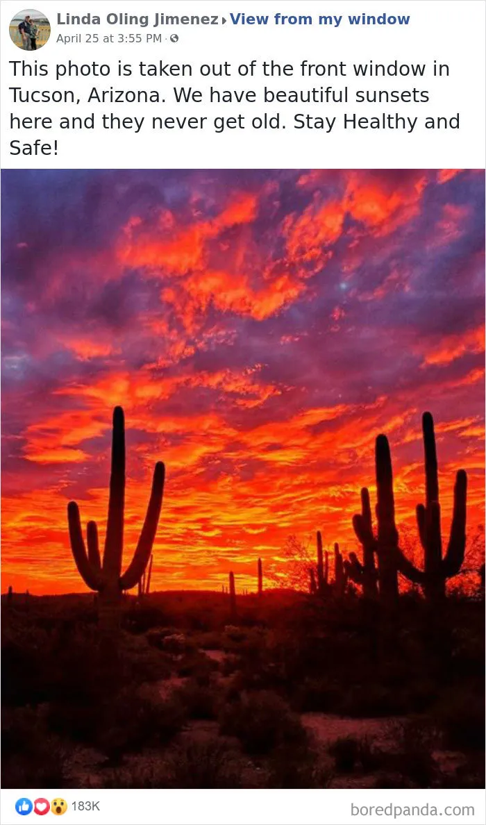 Insanely Popular Online Group Has People Sharing Their 'View From My Window' And Here Are The 40 Best Submissions