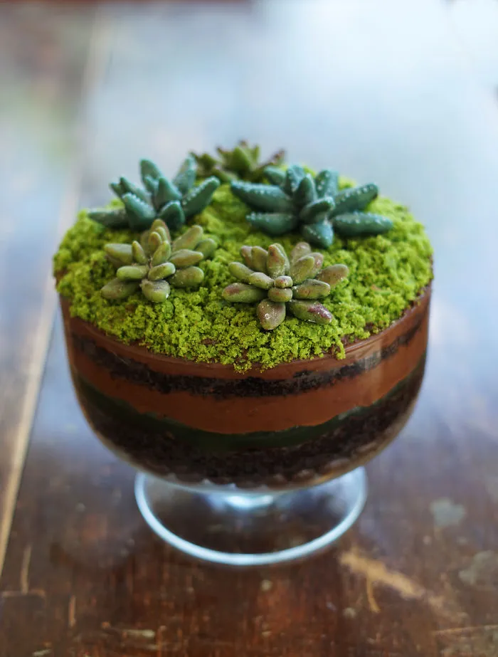 Succulent Terrarium