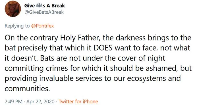 The Pope “Insults” Bats On Twitter, Gets Schooled By A Bat Expert