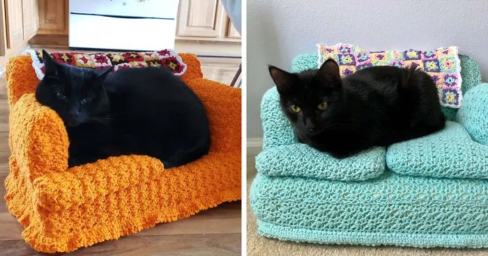 La gente usa su tiempo libre tejiendo a ganchillo pequeños sofás para sus gatos