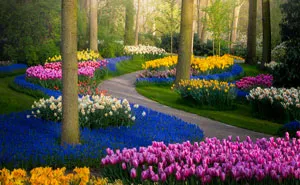The Most Beautiful Flower Garden In The World Has No Visitors For The First Time In 71 Years And I Got To Capture It (31 Pics)