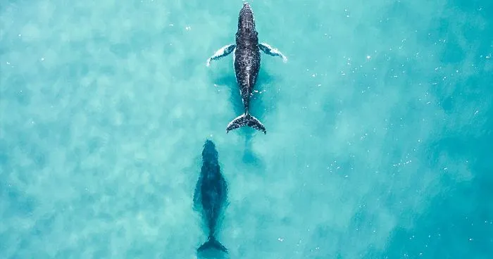50 Of The Best Entries From Our 'Water 2020' Photography Competition