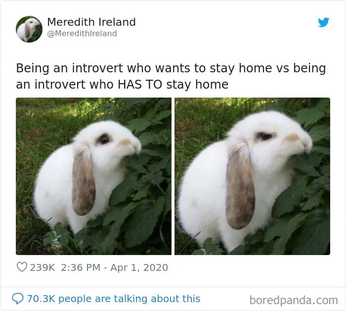 30 Of The Best Tweets From Women During The COVID-19 Pandemic