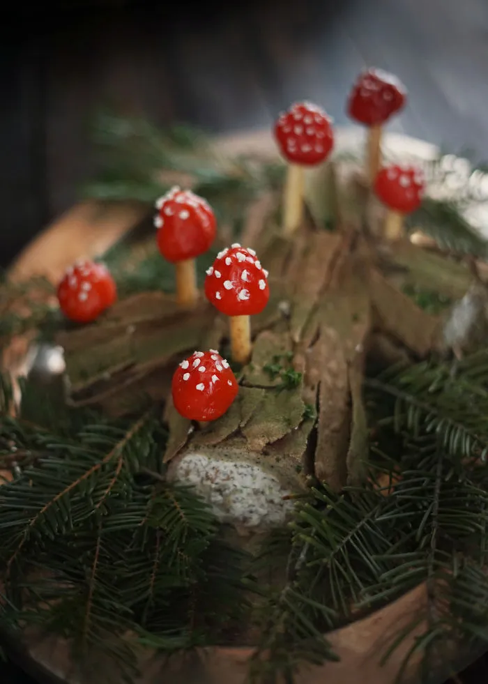 Savory Mushroom Log