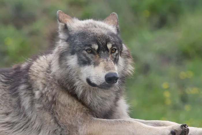 Zookeepers Share How Animals Are Reacting To The Lack Of Visitors