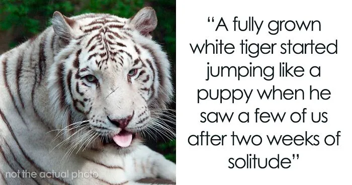 Zookeepers Share How Animals Are Reacting To The Lack Of Visitors