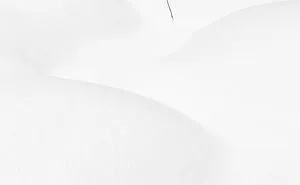 Isolation In Nature (Reflecting Our Lives Today)