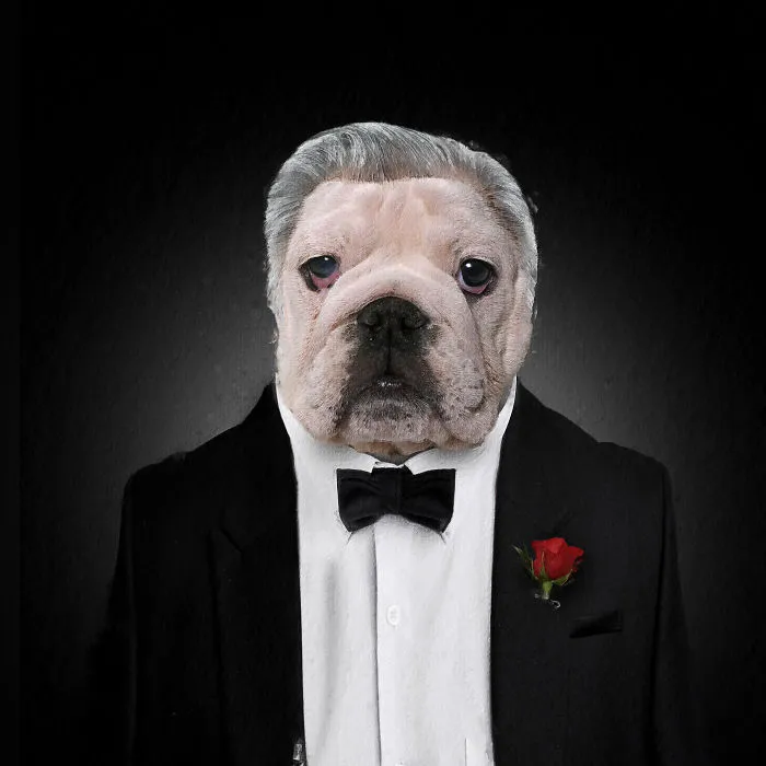 The Dogfather
