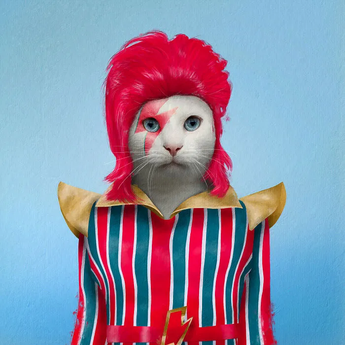 David Meowie