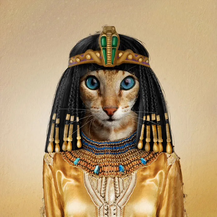 Cleopetra