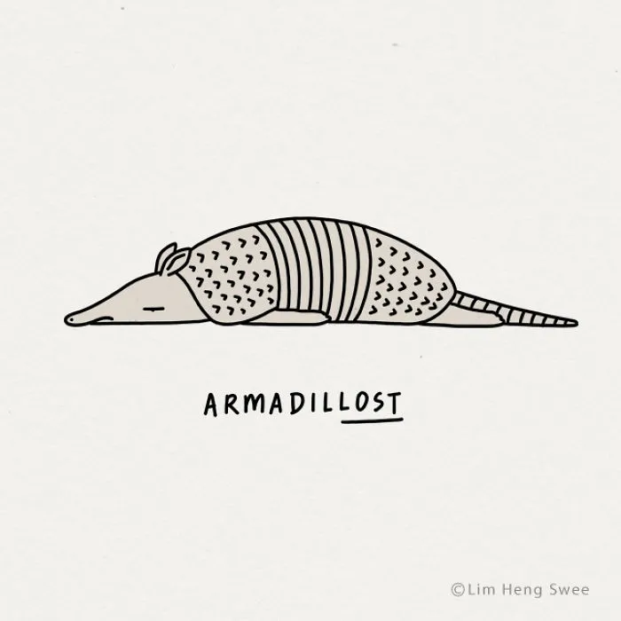 Armadillo