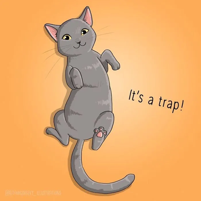 Artist Illustrates Everyday Life With A Cat In These 31 Relatable Comics
