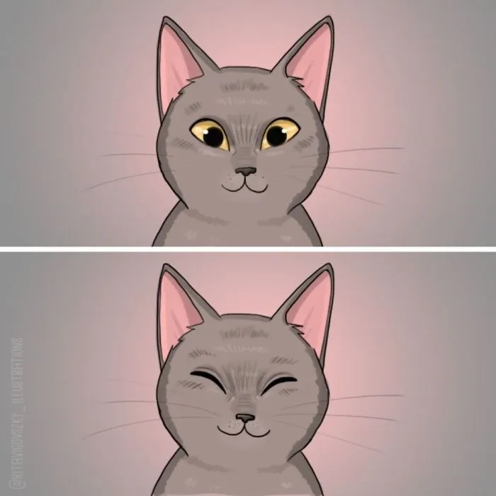 Artist Illustrates Everyday Life With A Cat In These 31 Relatable Comics