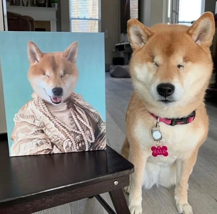 30 Pets With Royal Portraits They Deserve Made By Crown & Paw (New Pics)