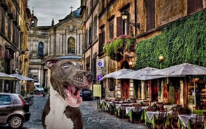 Italy
