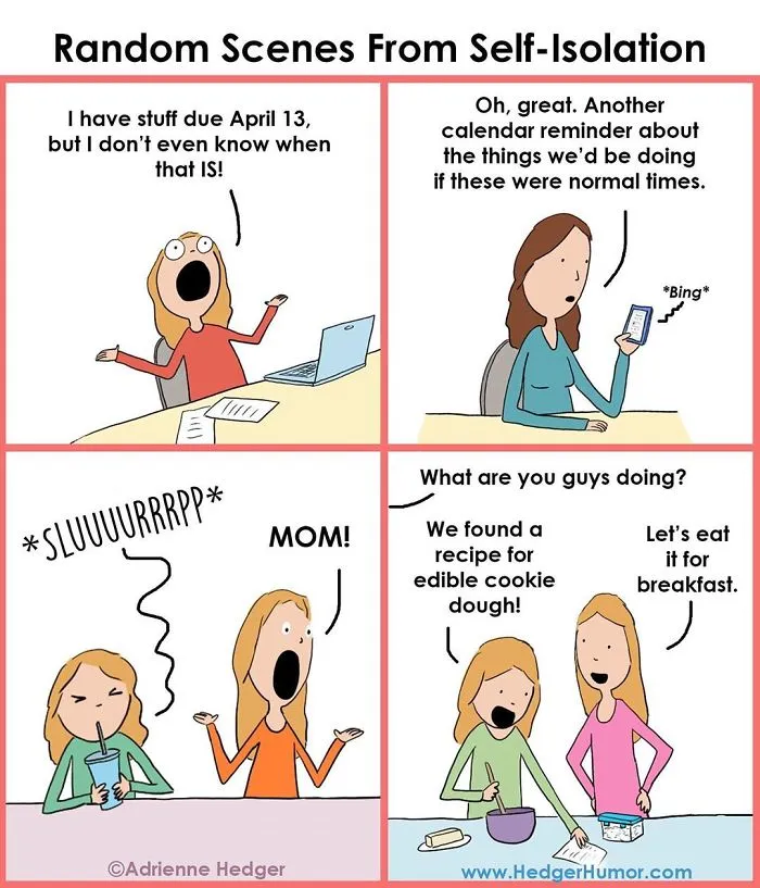 33 Funny Comics About Quarantining With Your Family By Hedger Humor