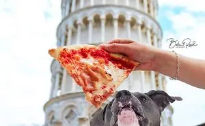 I Hope To Put A Smile On Your Face With These Silly Photo Manipulations Of My Dogs 'Traveling' (59 Pics)