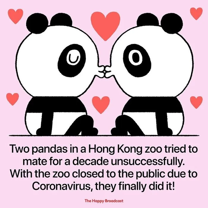 I’m Honestly Fed Up With All The Bad News, So I Illustrated 15 Of The Best Ones About The Coronavirus Situation