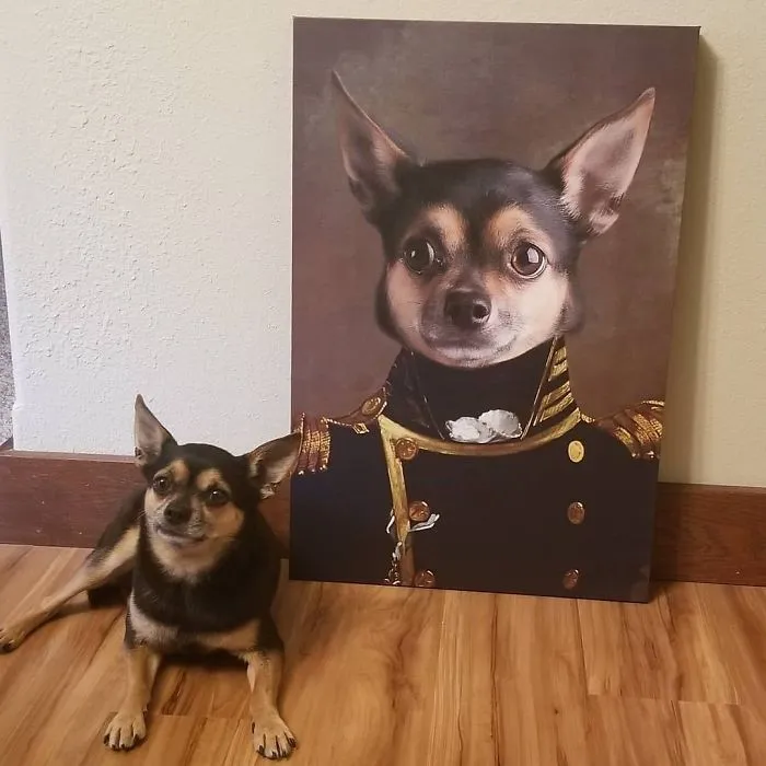 30 Pets With Royal Portraits They Deserve Made By Crown & Paw (New Pics)