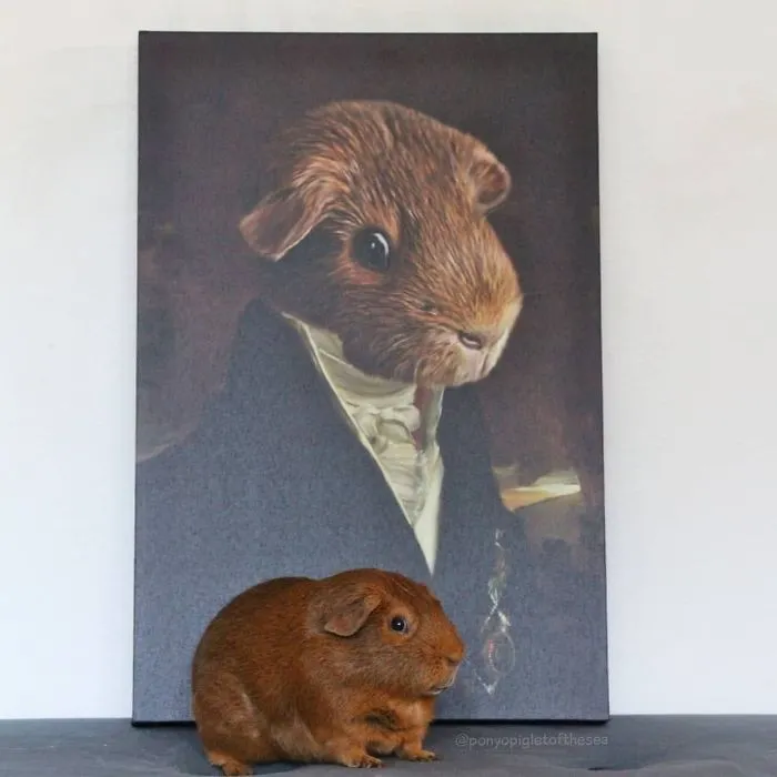 30 Pets With Royal Portraits They Deserve Made By Crown & Paw (New Pics)